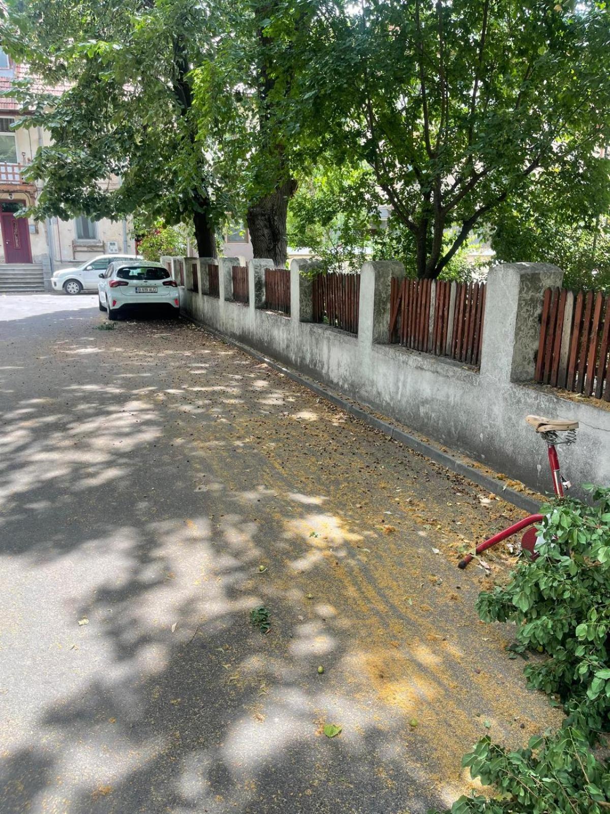 White 2 Apartamento Bucarest